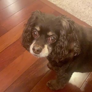 Meet your Posher, Cloe